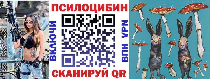 Псилоцибиновые грибы Psilocybe  закладки  Озёры 