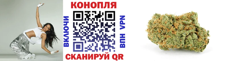 Бошки Шишки сатива  где можно купить   блэк спрут рабочий сайт  Озёры 
